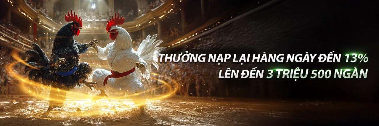 Đá gà trực tuyến Vnew88 với các ưu đãi khuyến mãi 2026