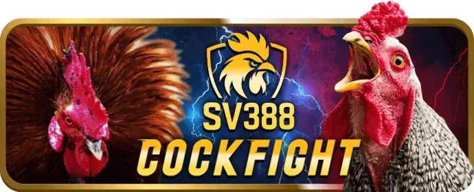 Hoàn trả cao cho máy đánh bạc Vnew88